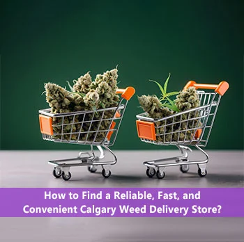 Calgary weed delivery