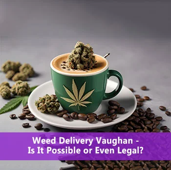 Weed Delivery Vaughan