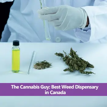 The Cannabis Guy Best Weed Dispensary in Canada