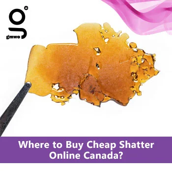 Buy Cheap Shatter Online